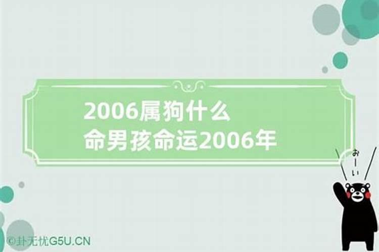 2006年属狗的是什么命男