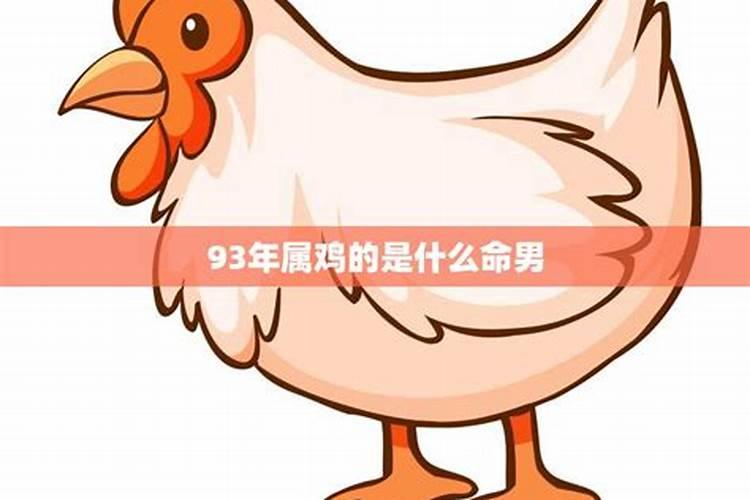 93年属鸡是什么命啊