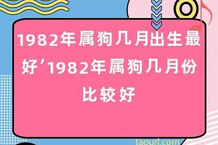 1982年属狗的是什么命几月份好