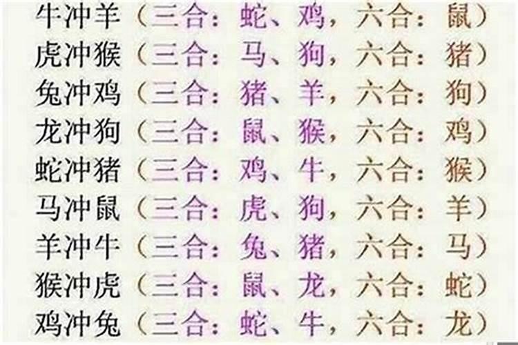 生肖鼠和生肖马八字合不合