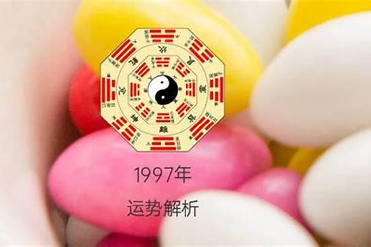 1979年正月初十出生今年运势