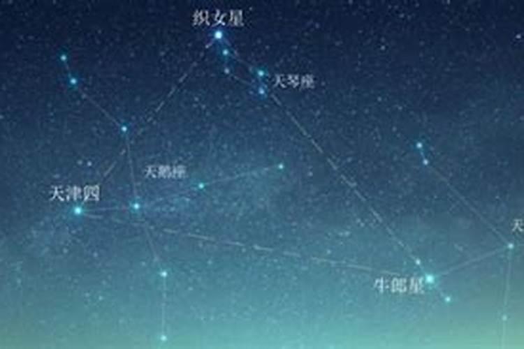 织女星属于什么座