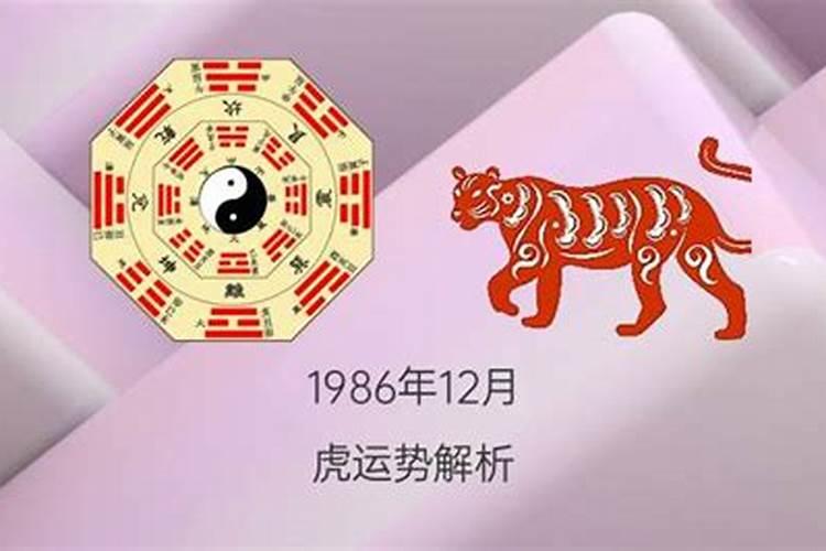 属虎1986今年运势