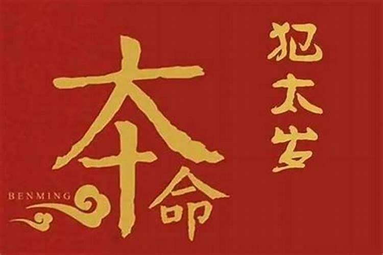 浦东市冬至祭扫活动