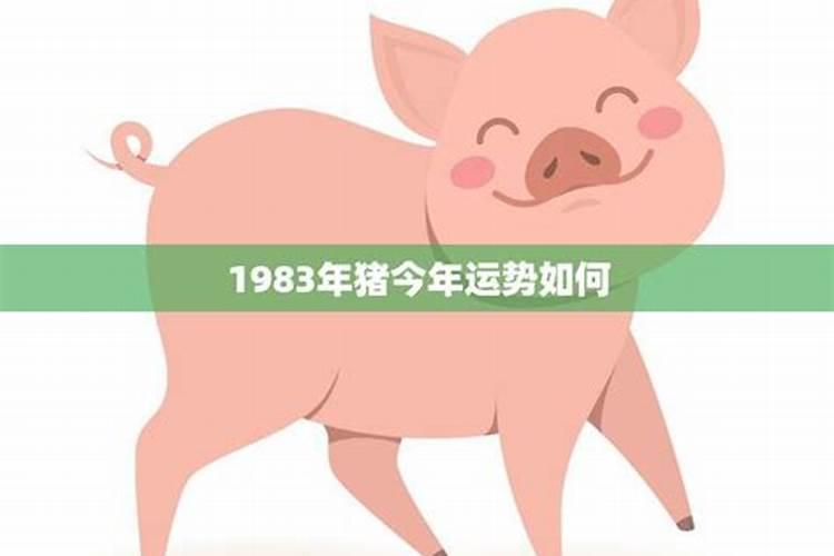 1983年属猪的男生今年的运势如何