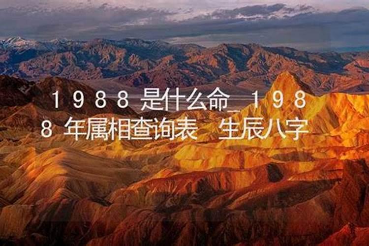 1988年的八字合吗