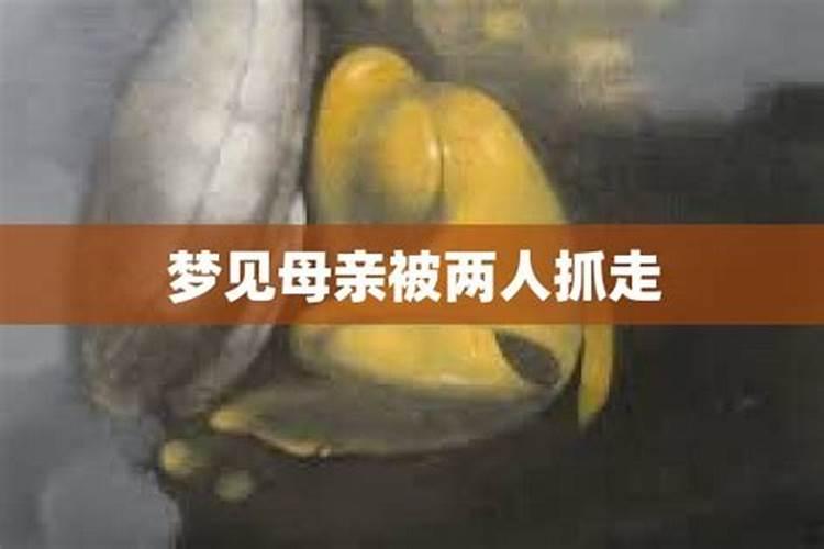 梦见妻子被别人带跑了啥意思