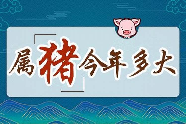 属猪生肖关于今年运势和爱情