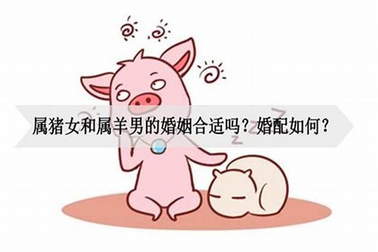 属羊的找属猪的合婚吗