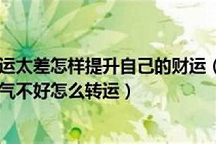 属鼠的人5月运势如何呢