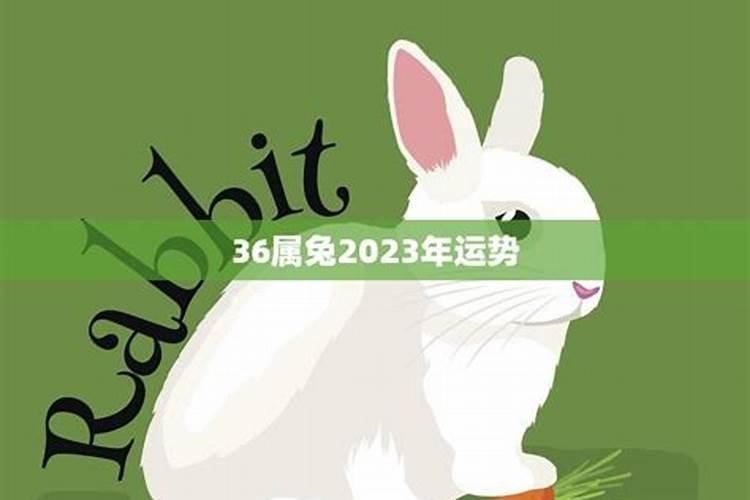 七零年属狗的2023年运势如何