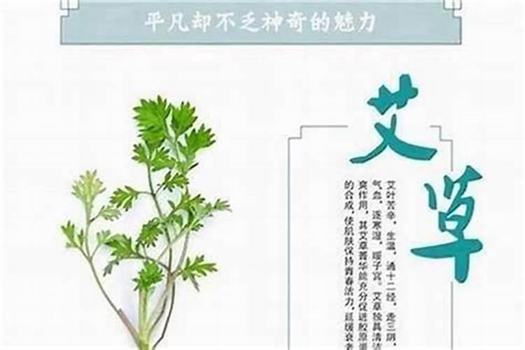 犯太岁家里摆什么化解