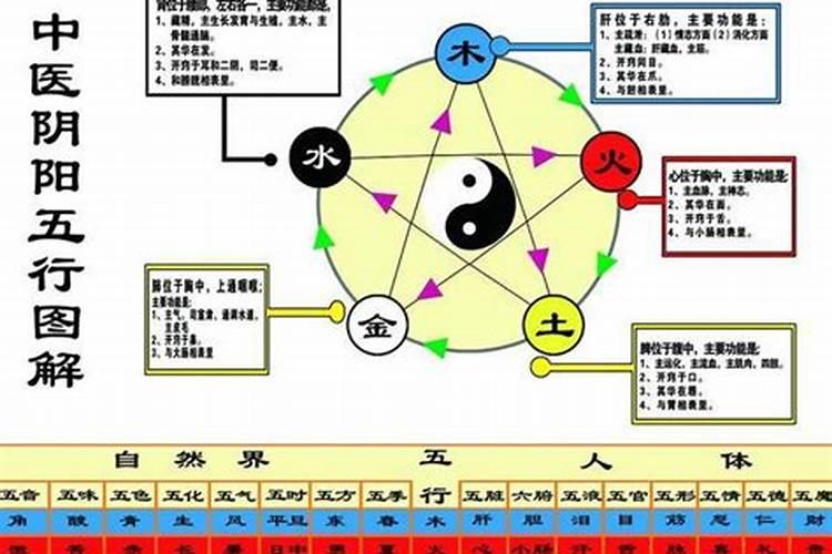 言五行属性是什么