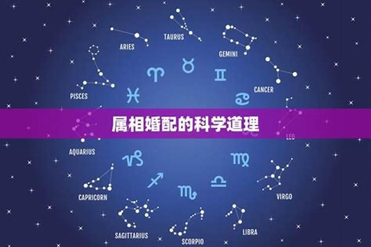 阳历十二月二十号出生是什么星座