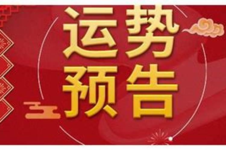 属鼠的今年八月运势如何