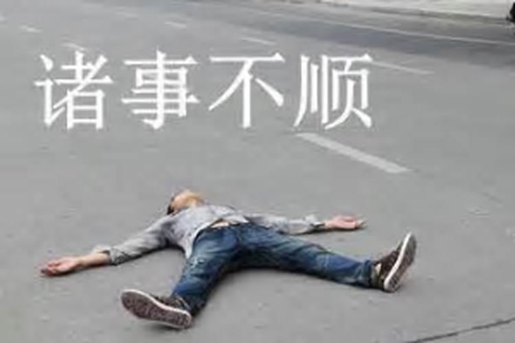 暗度陈仓属什么生肖