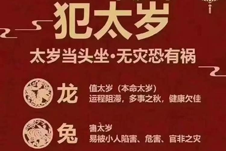 属龙的和什么年犯太岁