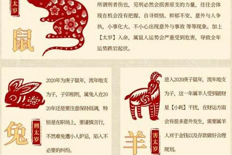 2020属鼠今年犯什么太岁