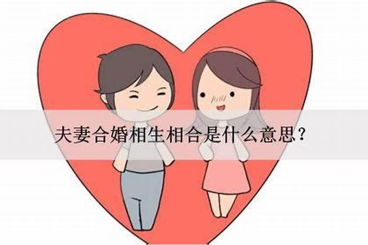 测合婚6小相是什么意思