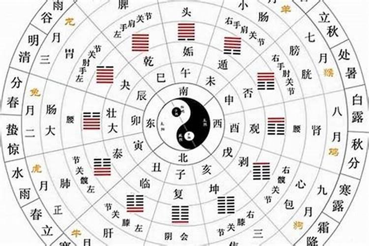 姗字五行属什么