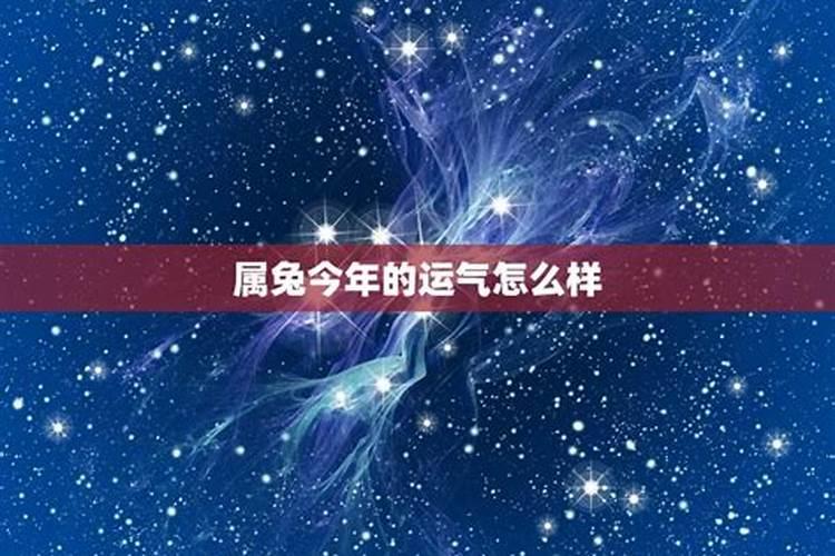 4月份兔人运势如何