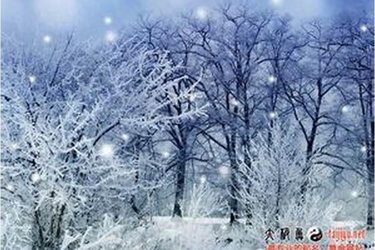 做梦梦见雪是什么预兆解梦