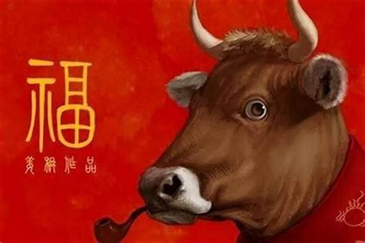 今年什么属相运势好