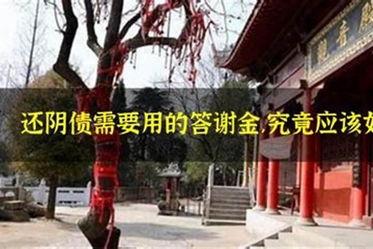 梦到地震预示什么但人安全