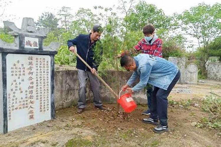 清明节哪种祭扫形式