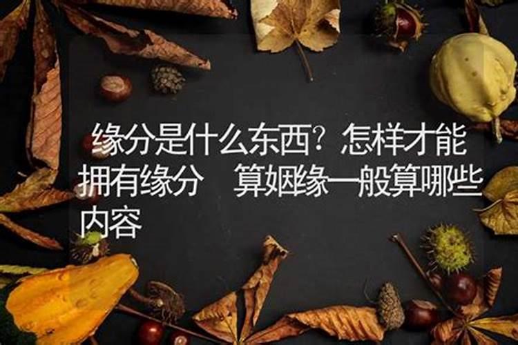 算姻缘需要提供什么