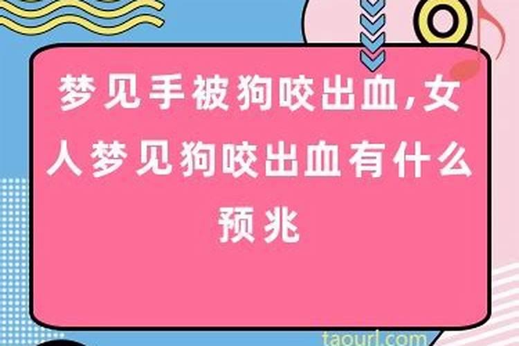 梦到狗狗身上有血是什么征兆女人