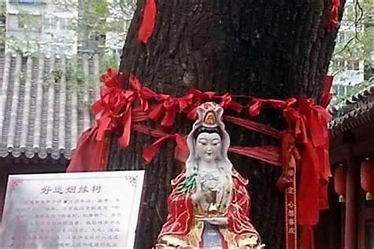 扎根寺庙婚姻不顺怎么办