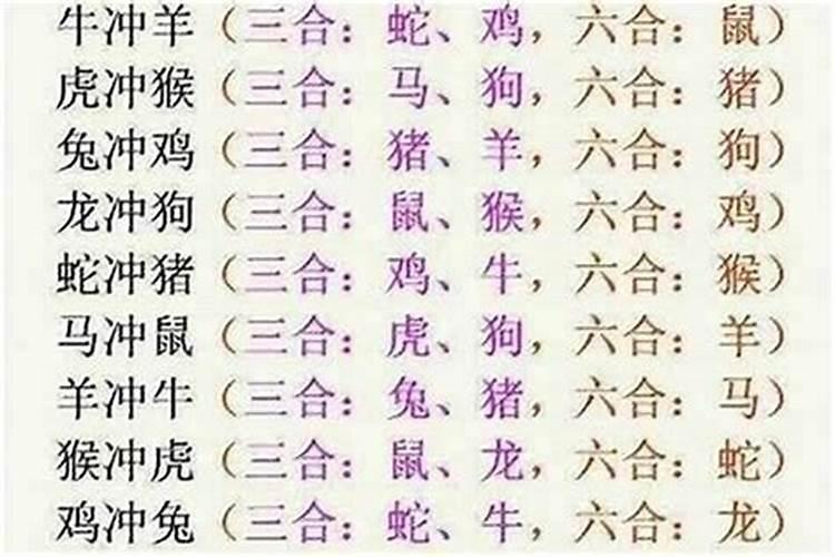 生肖一样的人八字合吗