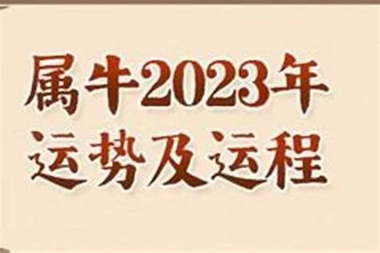 九七年属牛2023年运程如何