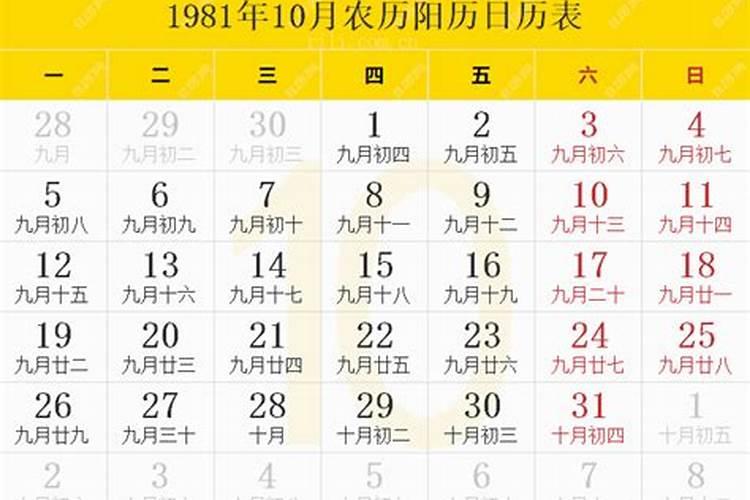 1981年农历十月今年运势