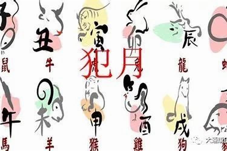 梦见别人买窗帘布