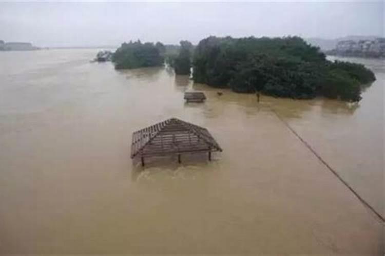 梦到下大雨淹房子