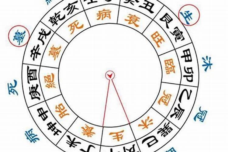 八字解析先天体质与疾病的关系