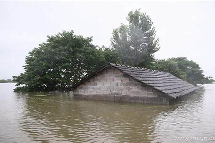 梦到下大雨房子被淹了