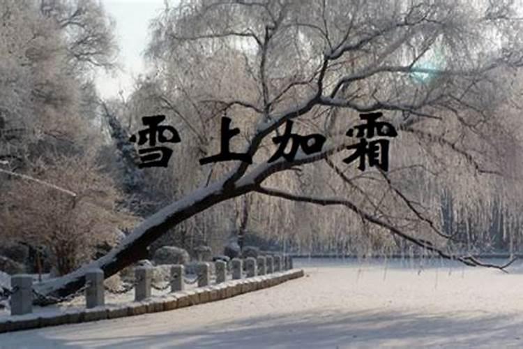 雪上加霜是小人是什么生肖