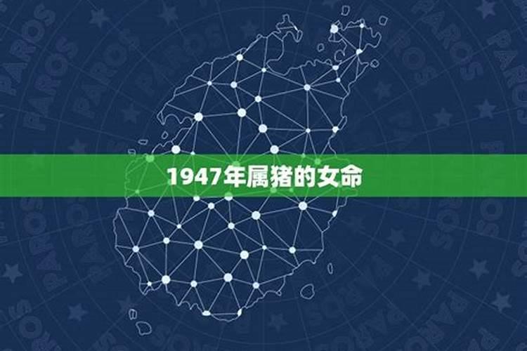 1947年出生的人的运势