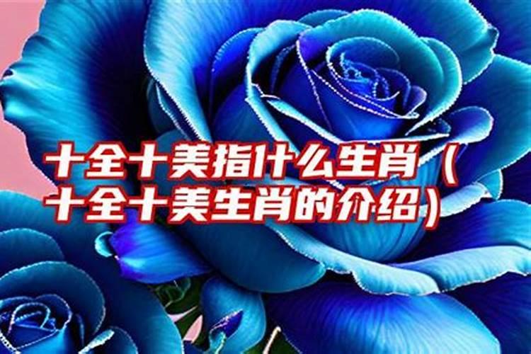 花指什么生肖