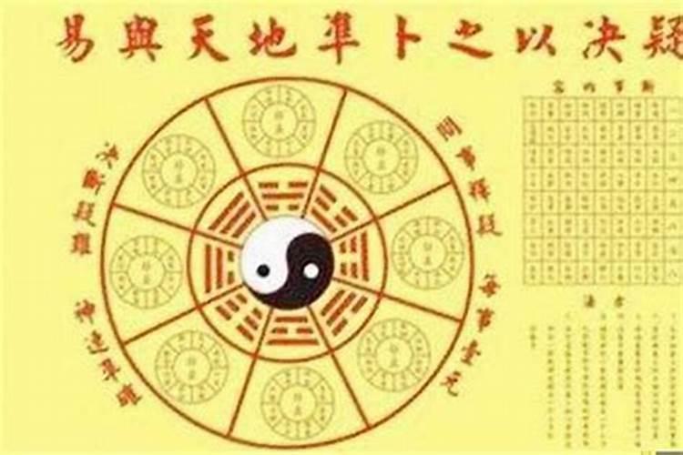 怎么从生辰八字看天干地支