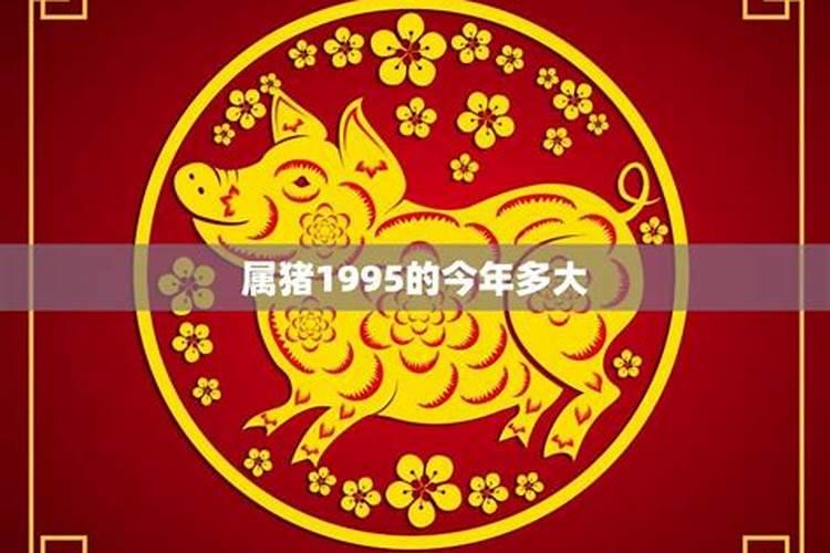 95出生今年感情运势