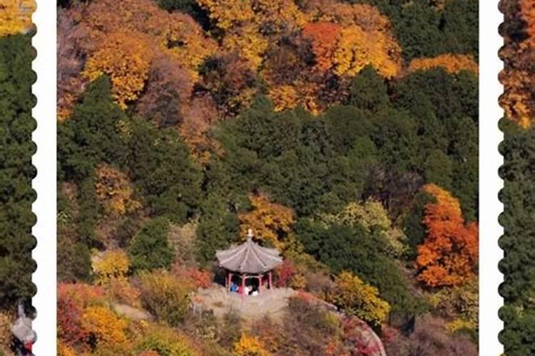 重阳节去哪里登高