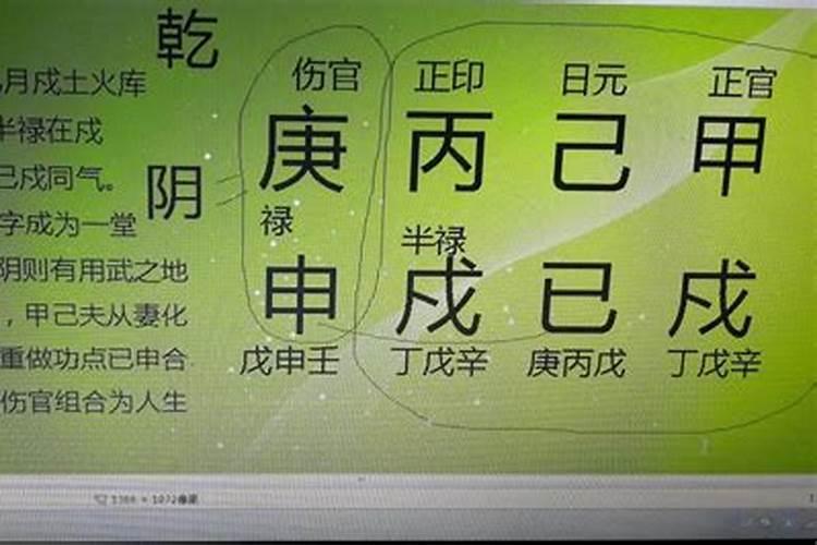 八字巳申合代表什么