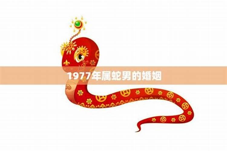 属蛇1977出生运程婚姻