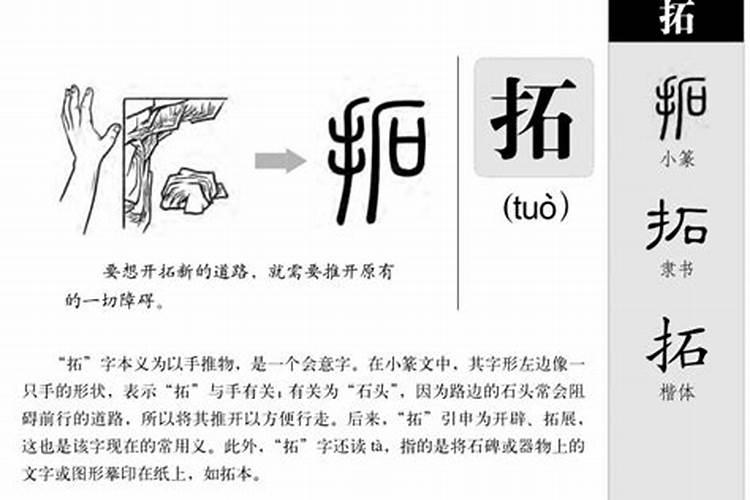 拓字五行属什么