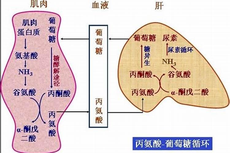 转运方式