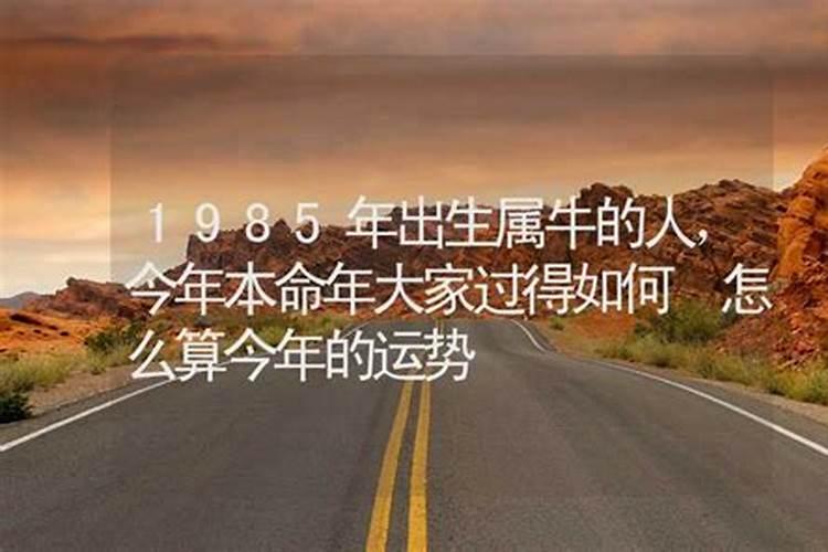 81年属鸡人今年运势2020年每月运势怎么防小人